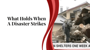 What Holds When A Disaster Strikes, Japan Earthquake